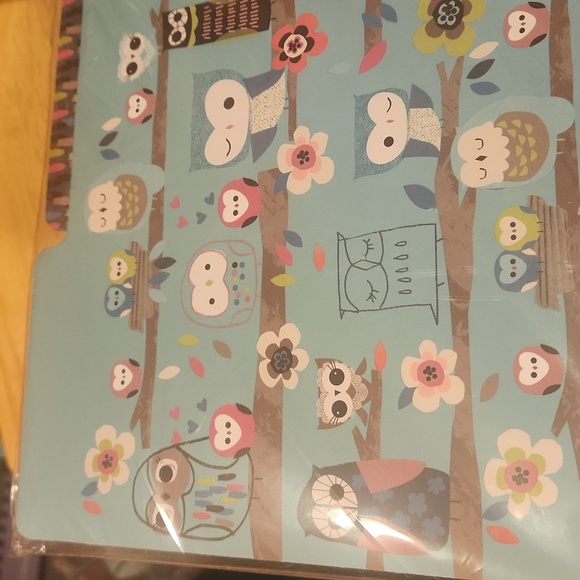 NEW Cutie Hootie File Folders OWL Paperchase Turquoise 12pk - Picture 2 of 7